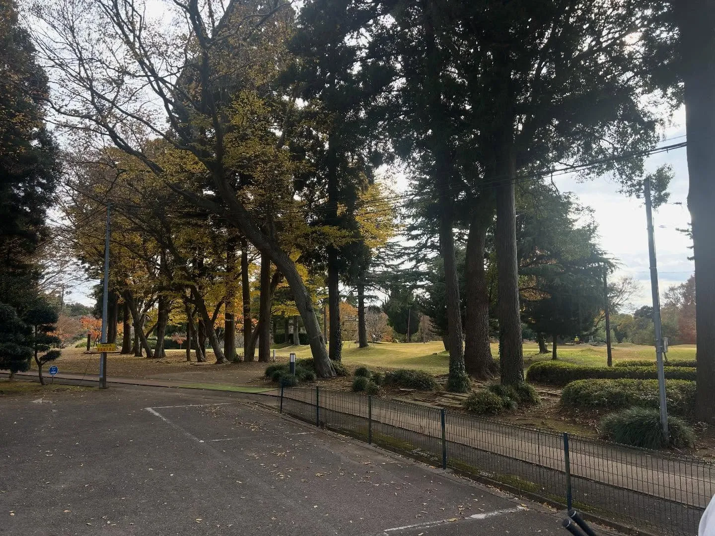 2回目のショートコース