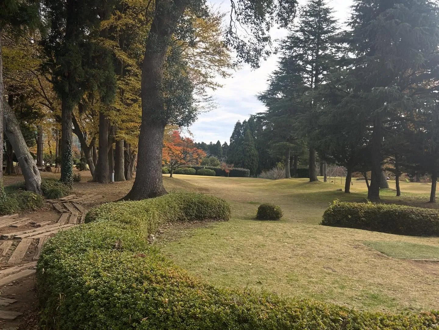 2回目のショートコース