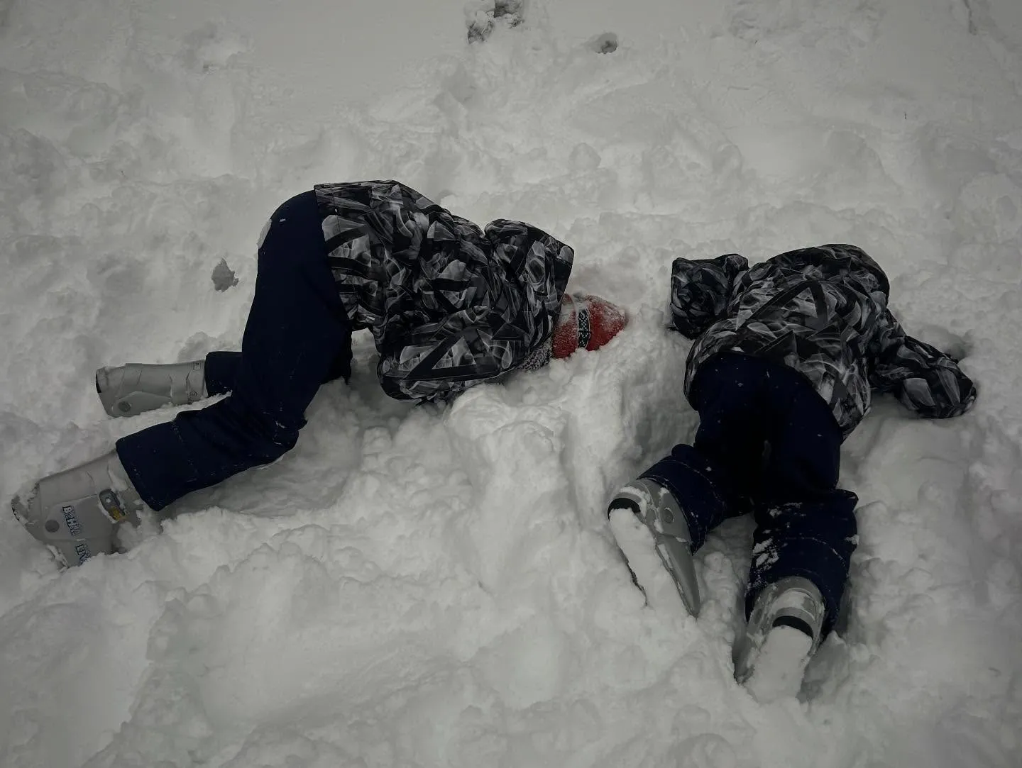 今年も猪苗代へ来てみました。